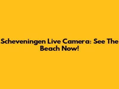 Scheveningen Live Camera: See The Beach Now!
