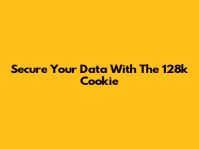 Secure Your Data With The 128k Cookie
