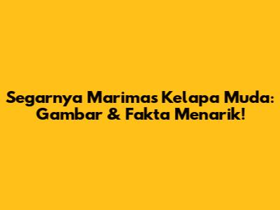Segarnya Marimas Kelapa Muda: Gambar & Fakta Menarik!