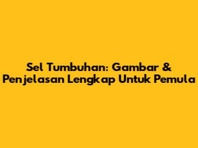 Sel Tumbuhan: Gambar & Penjelasan Lengkap Untuk Pemula