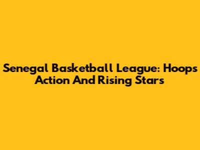 Senegal Basketball League: Hoops Action And Rising Stars