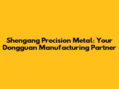 Shengang Precision Metal: Your Dongguan Manufacturing Partner