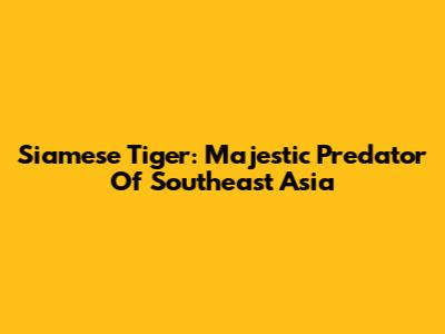 Siamese Tiger: Majestic Predator Of Southeast Asia
