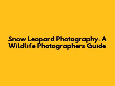 Snow Leopard Photography: A Wildlife Photographer's Guide