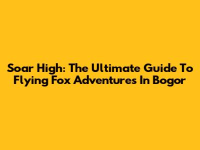 Soar High: The Ultimate Guide To Flying Fox Adventures In Bogor