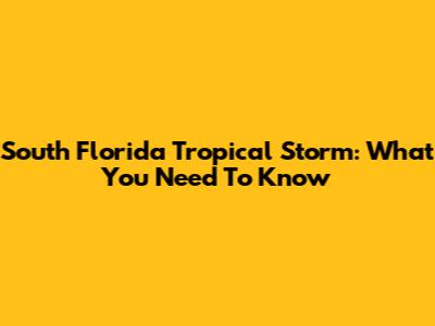 South Florida Tropical Storm: What You Need To Know