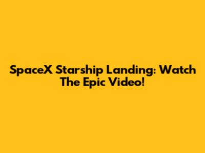 SpaceX Starship Landing: Watch The Epic Video!