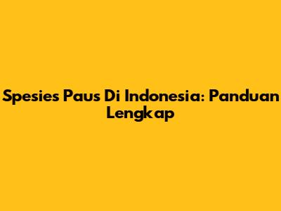 Spesies Paus Di Indonesia: Panduan Lengkap
