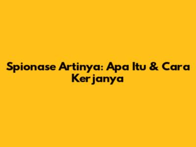Spionase Artinya: Apa Itu & Cara Kerjanya