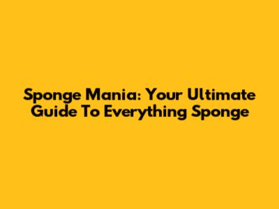 Sponge Mania: Your Ultimate Guide To Everything Sponge