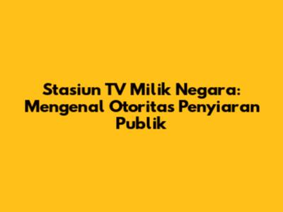 Stasiun TV Milik Negara: Mengenal Otoritas Penyiaran Publik