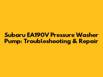 Subaru EA190V Pressure Washer Pump: Troubleshooting & Repair
