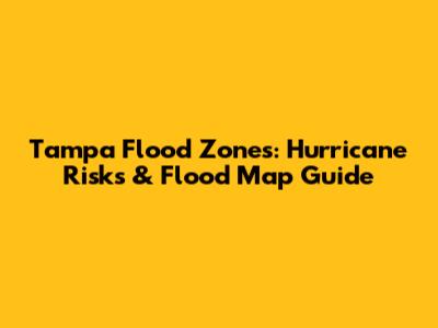 Tampa Flood Zones: Hurricane Risks & Flood Map Guide