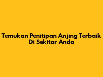 Temukan Penitipan Anjing Terbaik Di Sekitar Anda