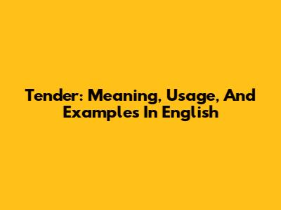 Tender: Meaning, Usage, And Examples In English