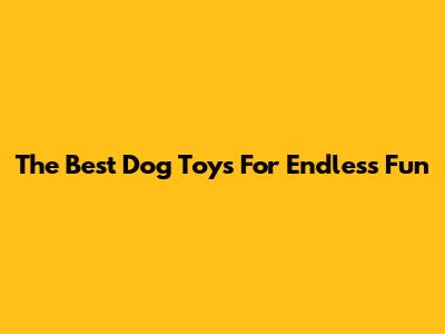 The Best Dog Toys For Endless Fun
