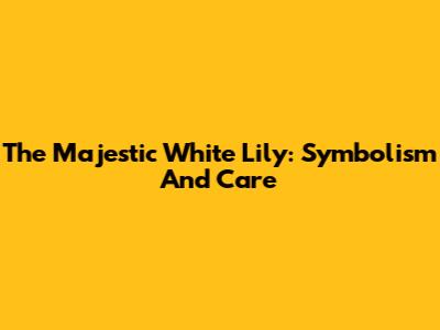The Majestic White Lily: Symbolism And Care