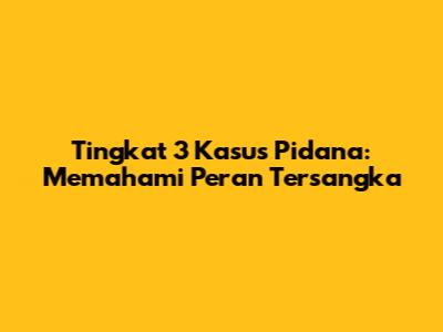 Tingkat 3 Kasus Pidana: Memahami Peran Tersangka