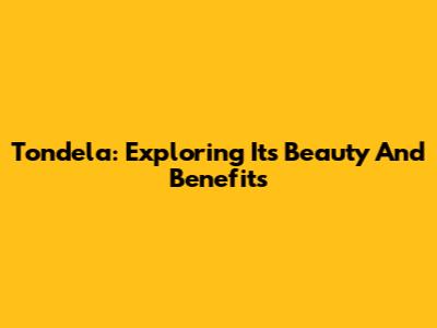 Tondela: Exploring Its Beauty And Benefits