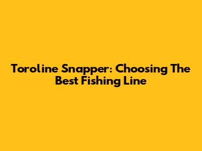 Toroline Snapper: Choosing The Best Fishing Line