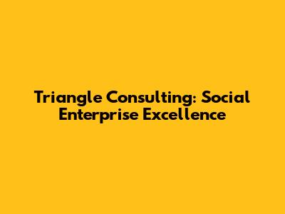 Triangle Consulting: Social Enterprise Excellence