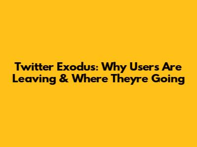Twitter Exodus: Why Users Are Leaving & Where They're Going