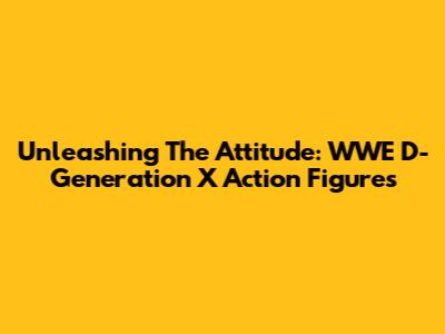Unleashing The Attitude: WWE D-Generation X Action Figures