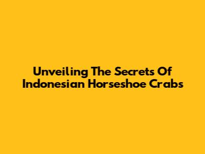 Unveiling The Secrets Of Indonesian Horseshoe Crabs