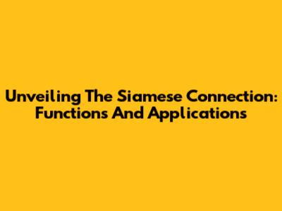 Unveiling The Siamese Connection: Functions And Applications