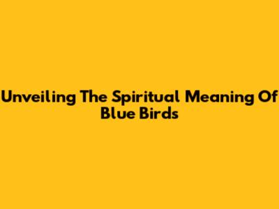 Unveiling The Spiritual Meaning Of Blue Birds