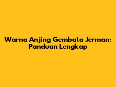 Warna Anjing Gembala Jerman: Panduan Lengkap