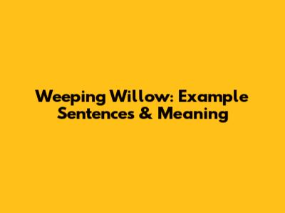 Weeping Willow: Example Sentences & Meaning