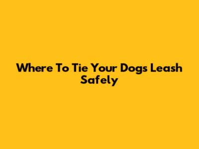 Where To Tie Your Dog's Leash Safely