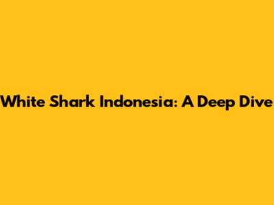 White Shark Indonesia: A Deep Dive