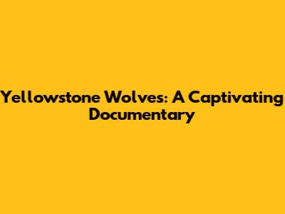Yellowstone Wolves: A Captivating Documentary