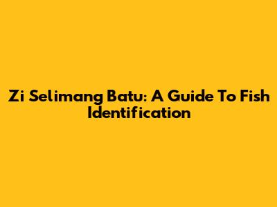 Zi Selimang Batu: A Guide To Fish Identification