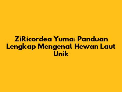 ZiRicordea Yuma: Panduan Lengkap Mengenal Hewan Laut Unik